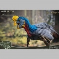 Oviraptor - Historic Creatures The Wonder Wild Series