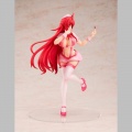 Rias Gremory Nurse Ver. - High School DxD Hero (Kadokawa)