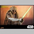 Hot Toys Kit Fisto - Star Wars