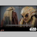 Hot Toys Kit Fisto - Star Wars