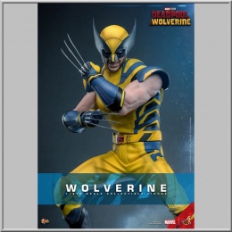 Hot Toys Wolverine - Deadpool & Wolverine
