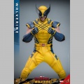 Hot Toys Wolverine - Deadpool & Wolverine