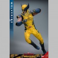 Hot Toys Wolverine - Deadpool & Wolverine