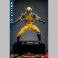 Hot Toys Wolverine - Deadpool & Wolverine