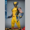 Hot Toys Wolverine - Deadpool & Wolverine