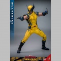 Hot Toys Wolverine - Deadpool & Wolverine