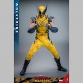 Hot Toys Wolverine - Deadpool & Wolverine