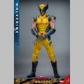 Hot Toys Wolverine - Deadpool & Wolverine