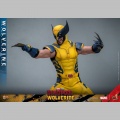 Hot Toys Wolverine - Deadpool & Wolverine