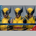 Hot Toys Wolverine - Deadpool & Wolverine