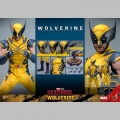 Hot Toys Wolverine - Deadpool & Wolverine