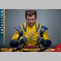 Hot Toys Wolverine (Deluxe Version) - Deadpool & Wolverine