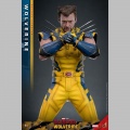 Hot Toys Wolverine (Deluxe Version) - Deadpool & Wolverine