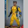 Hot Toys Wolverine (Deluxe Version) - Deadpool & Wolverine