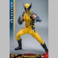 Hot Toys Wolverine (Deluxe Version) - Deadpool & Wolverine