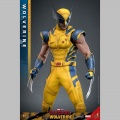 Hot Toys Wolverine (Deluxe Version) - Deadpool & Wolverine