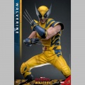 Hot Toys Wolverine (Deluxe Version) - Deadpool & Wolverine