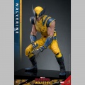 Hot Toys Wolverine (Deluxe Version) - Deadpool & Wolverine