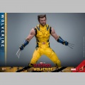 Hot Toys Wolverine (Deluxe Version) - Deadpool & Wolverine