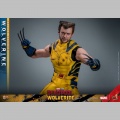 Hot Toys Wolverine (Deluxe Version) - Deadpool & Wolverine