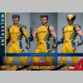 Hot Toys Wolverine (Deluxe Version) - Deadpool & Wolverine