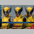 Hot Toys Wolverine (Deluxe Version) - Deadpool & Wolverine