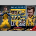 Hot Toys Wolverine (Deluxe Version) - Deadpool & Wolverine