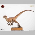 Toynami Male Velociraptor - Jurassic Park