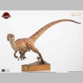 Toynami Male Velociraptor - Jurassic Park