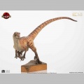 Toynami Male Velociraptor - Jurassic Park