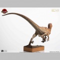 Toynami Male Velociraptor - Jurassic Park