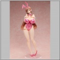 Minako Sanada Bare Leg Bunny Ver. - Bullied: Revenge Hypnosis (Binding)