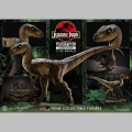 Prime 1 Studio Velociraptor Closed Mouth - Jurassic Park