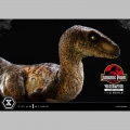 Prime 1 Studio Velociraptor Closed Mouth - Jurassic Park