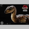 Prime 1 Studio Velociraptor Closed Mouth - Jurassic Park