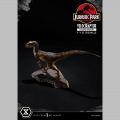 Prime 1 Studio Velociraptor Closed Mouth - Jurassic Park