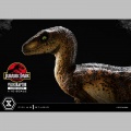 Prime 1 Studio Velociraptor Closed Mouth - Jurassic Park