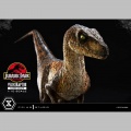 Prime 1 Studio Velociraptor Closed Mouth - Jurassic Park