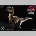 Prime 1 Studio Velociraptor Closed Mouth - Jurassic Park