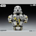 Designer Bust Sideshow Artist Series Stormtrooper by Jesse Hernandez - Star Wars