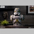 Designer Bust Sideshow Artist Series Stormtrooper by Jesse Hernandez - Star Wars