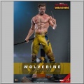 Hot Toys Wolverine (TVA Jacket Version) - Deadpool & Wolverine