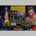 Hot Toys Wolverine (TVA Jacket Version) - Deadpool & Wolverine