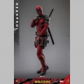 Hot Toys Deadpool - Deadpool & Wolverine