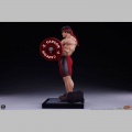 PCS 1/4 Ryu: Powerlifting - Street Fighter