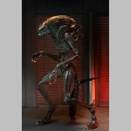 Neca Ultimate Scorched Xenomorph - Alien: Romulus