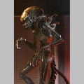 Neca Ultimate Scorched Xenomorph - Alien: Romulus