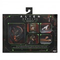 Neca Accessory Pack - Alien: Romulus