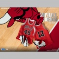 Michael Jordan I'm Back Edition Limited - NBA Collection