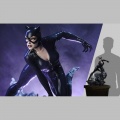 Tweeterhead 1/4 Catwoman - DC Comics